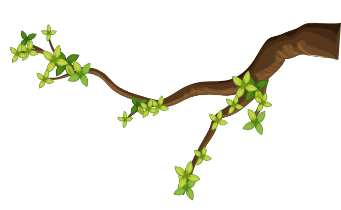 branch